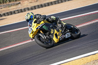 Middle Group Yellow Bikes